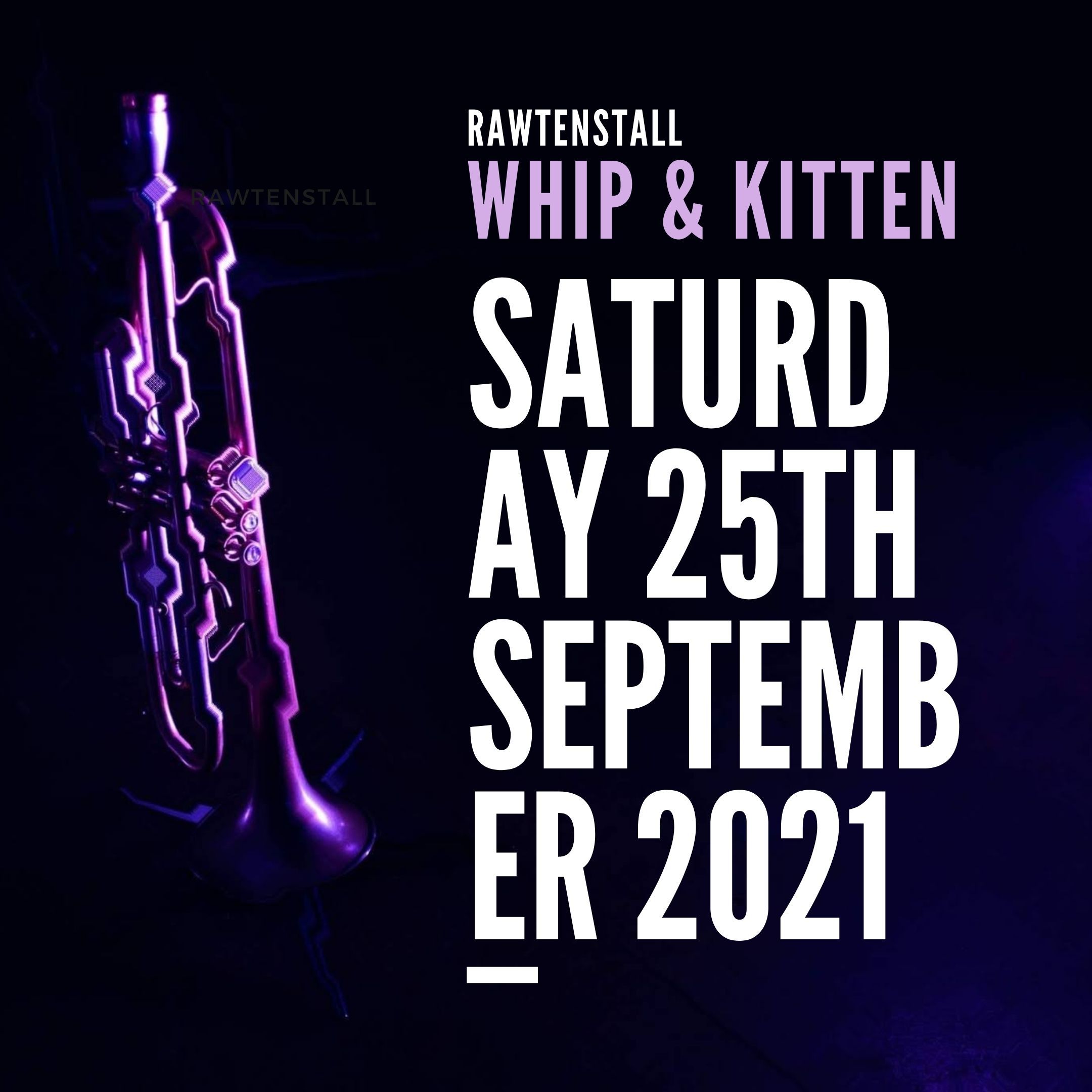 Live at The Whip & Kitten